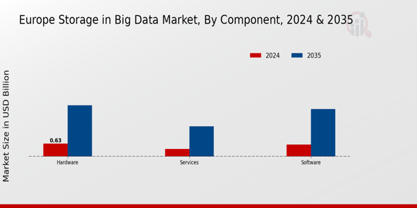 Europe Storage In Big Data Market Segment