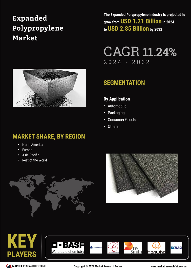 Expanded Polypropylene Market