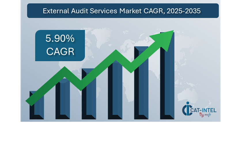 External Audit Services Market Overview