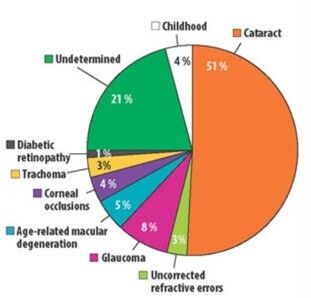 Eye health issues with weightage 