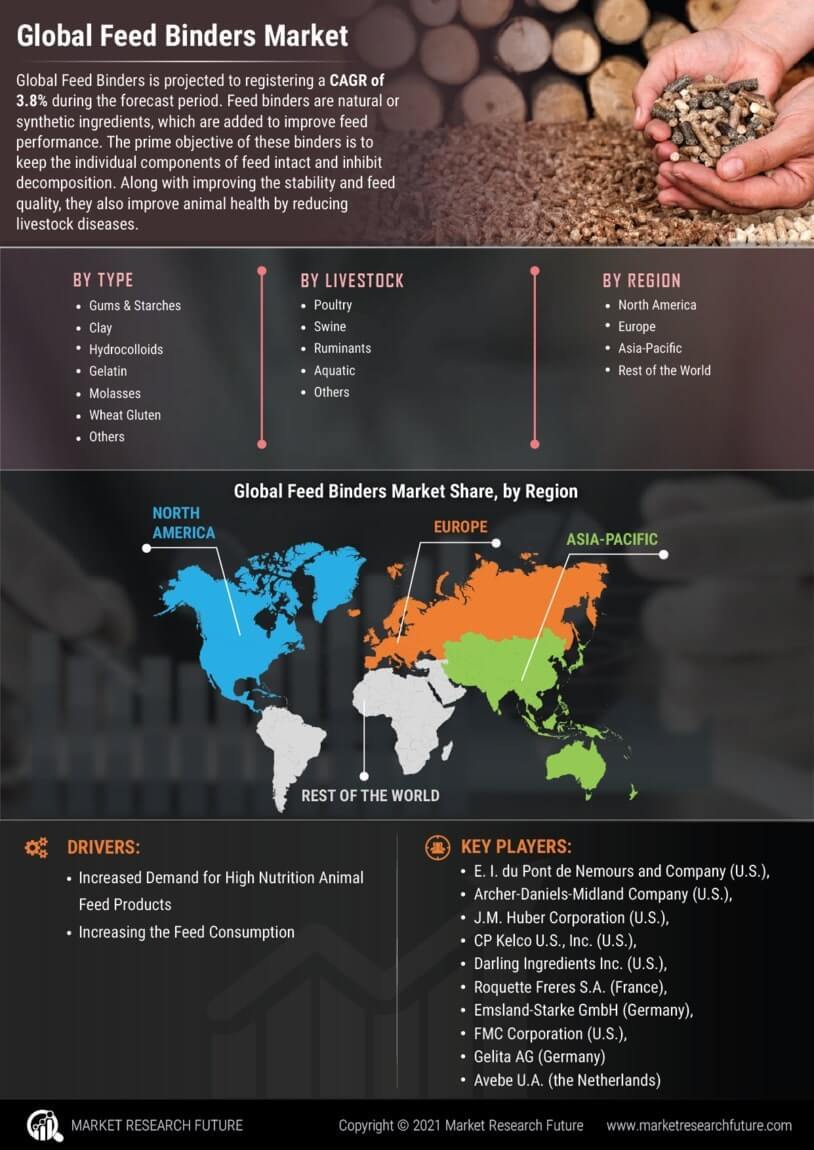 Feed Binders Market