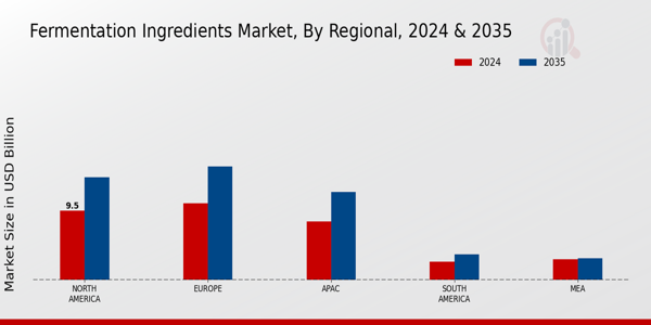 Fermentation Ingredients Market Regional Insights