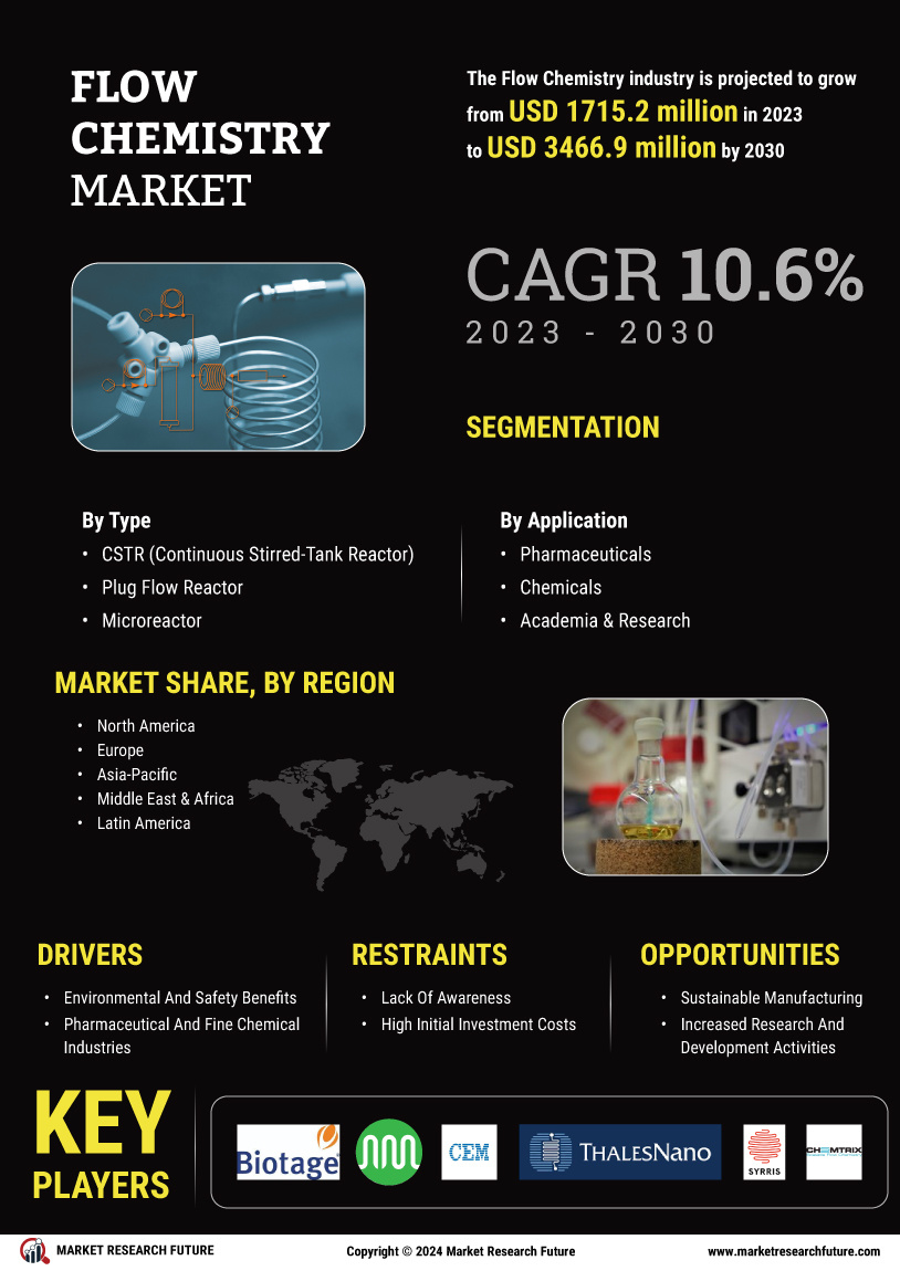 Flow Chemistry Market Research Report — Global Forecast till 2030 Infographic