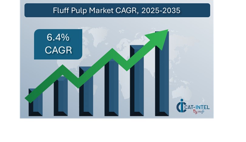 Fluff Pulp Market Overview