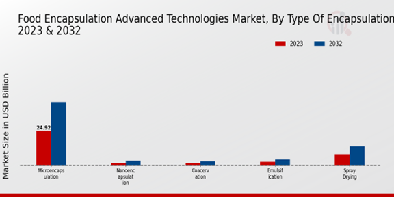 Food Encapsulation Advanced Technologies Market Type of Encapsulation 