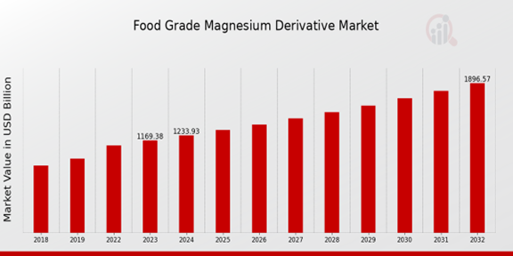 Food Grade Magnesium Derivative Market Overview