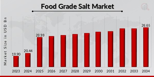 Food Grade Salt Market Overview