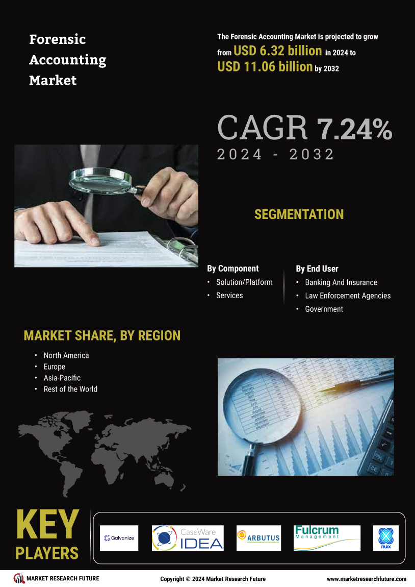 Forensic Accounting Market