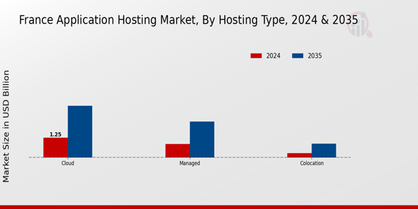 France Application Hosting Market Segment