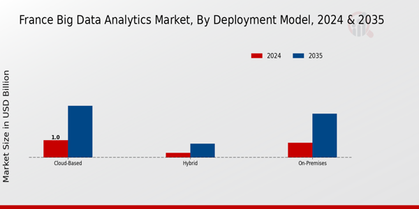 France Big Data Analytics Market Segment