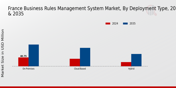 France Business Rules Management System Market Segment