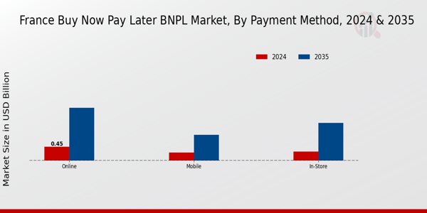 France Buy Now Pay Later (BNPL) Market Segment