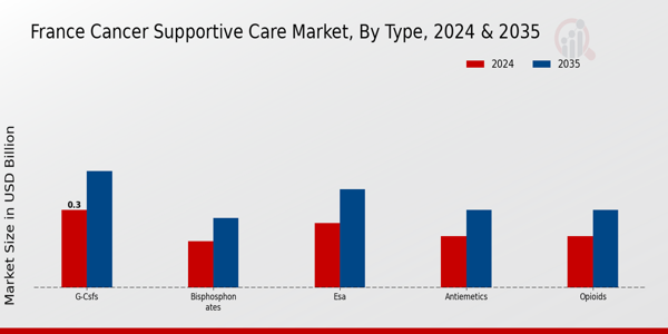 France Cancer Supportive Care Market Segment