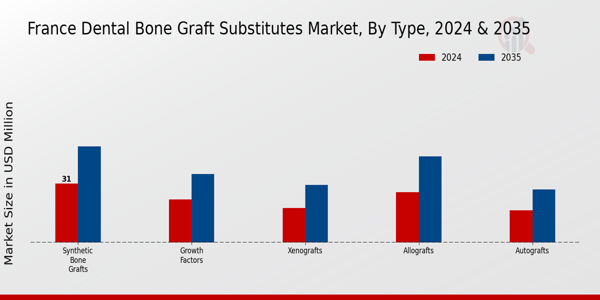 France Dental Bone Graft Substitutes Market Segment