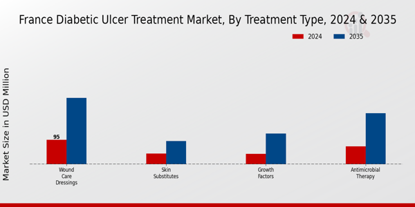 France Diabetic Ulcer Treatment Market Segment