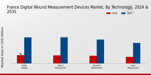 France Digital Wound Measurement Devices Market Segment