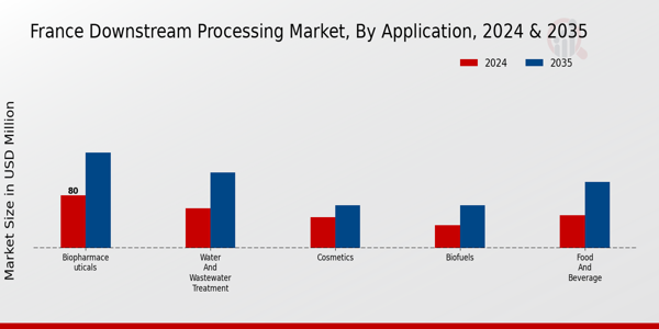 France Downstream Processing Market Segment