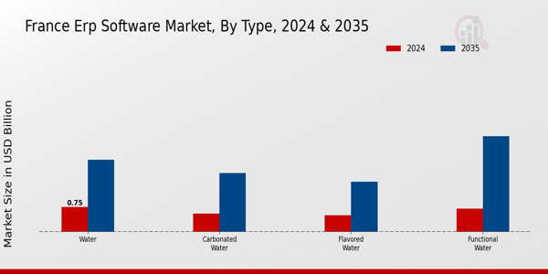 France ERP Software Market Segment Insights