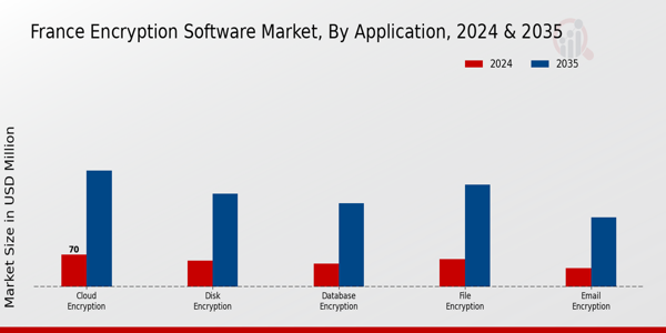 France Encryption Software Market Segment