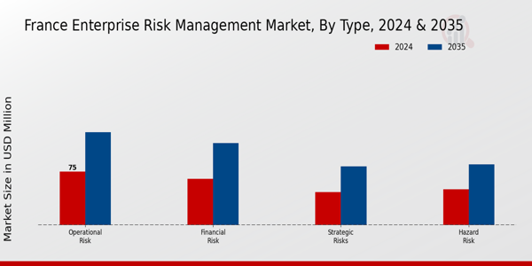 France Enterprise Risk Management Market Segment