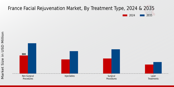 France Facial Rejuvenation Market Segment