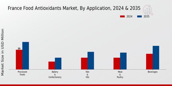 France Food Antioxidants Market Segment