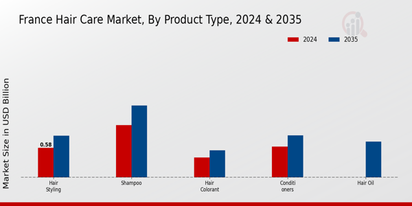 France Hair Care Market Segment