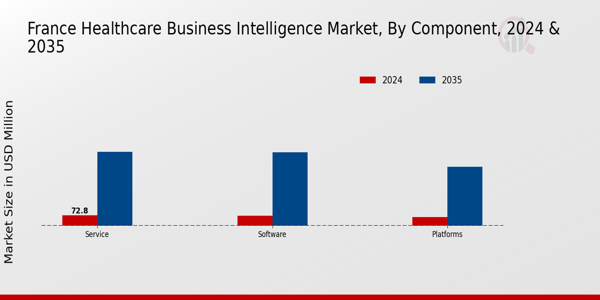 France Healthcare Business Intelligence Market Component Insights