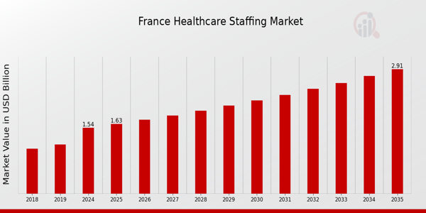 France Healthcare Staffing Market size
