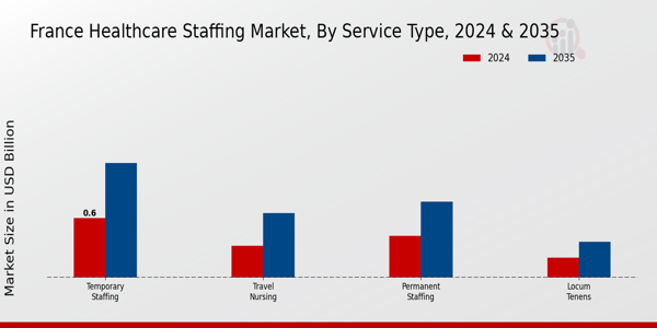 France Healthcare Staffing Market Segment