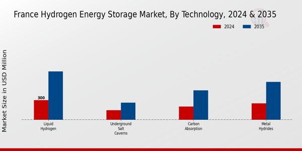 France Hydrogen Energy Storage Market Segment