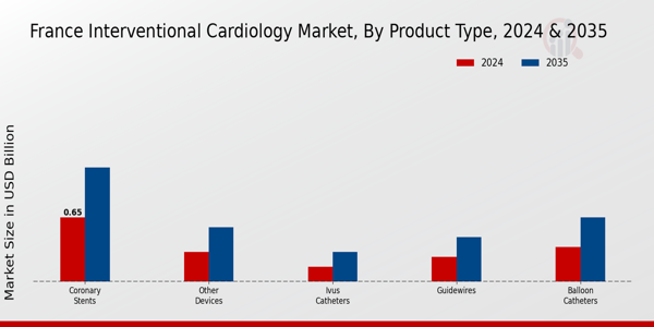 France Interventional Cardiology Market Segment