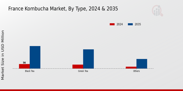 France Kombucha Market Type Insights