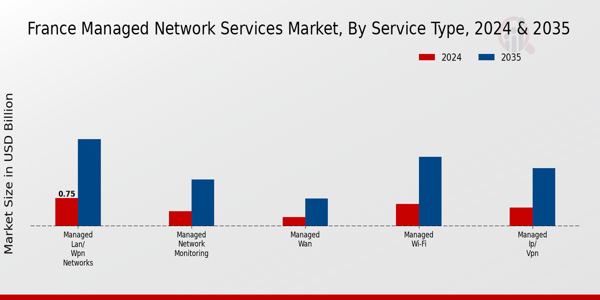 France Managed Network Services Market Segment
