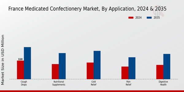 France Medicated Confectionery Market Segment