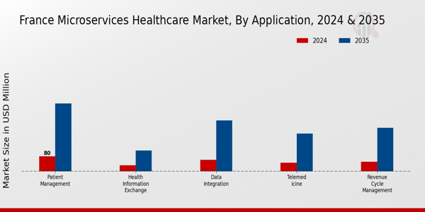 France Microservices Healthcare Market Segment