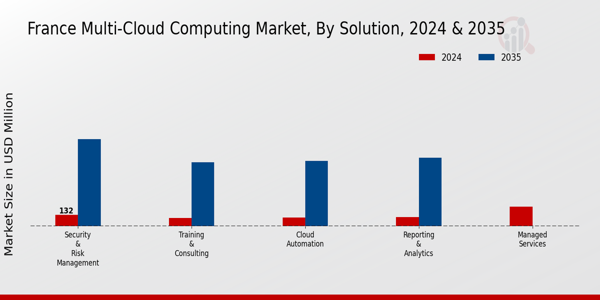 France Multi Cloud Computing Market Segment
