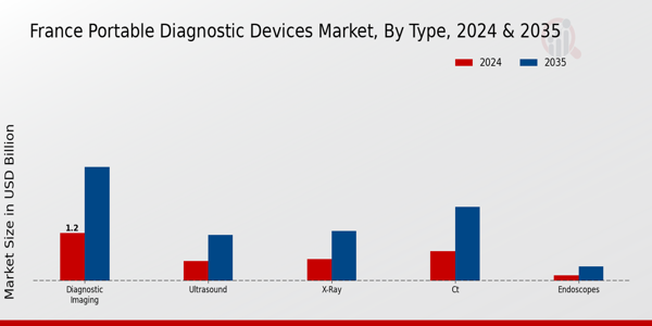 France Portable Diagnostic Devices Market Segment