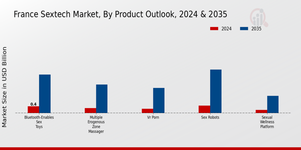 France Sextech Market Segment