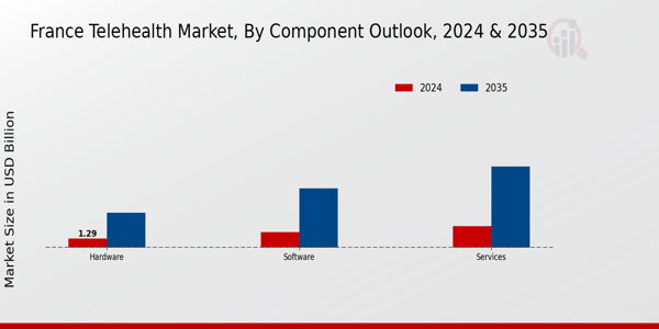 France Telehealth Market Segment