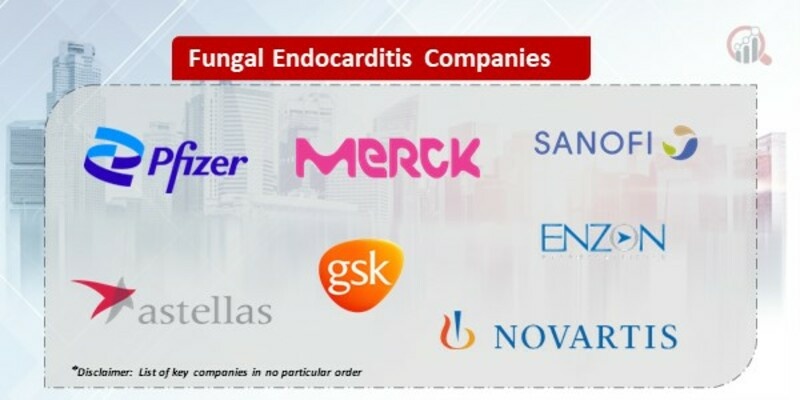 Fungal Endocarditis Market
