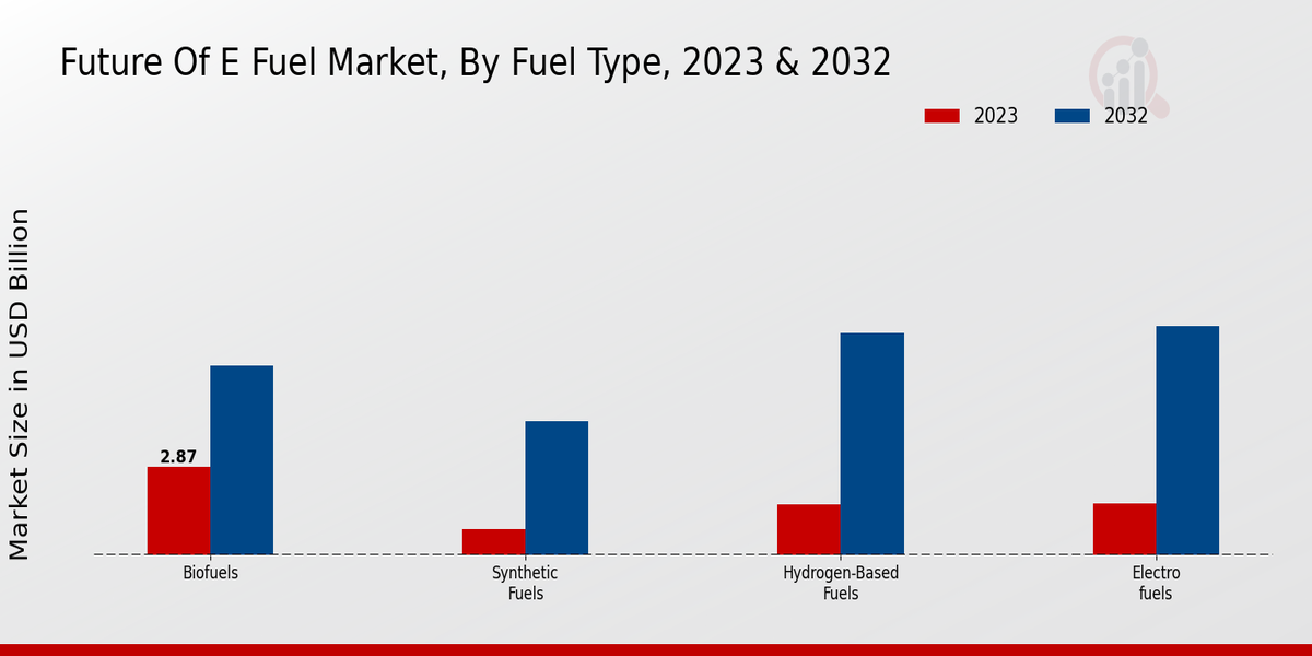 Future Of E Fuel Market Segment Insights