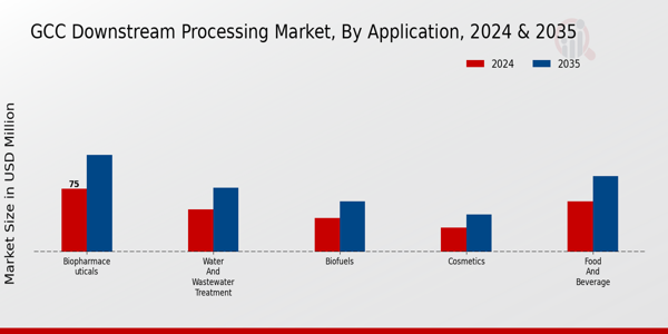 GCC Downstream Processing Market Segment