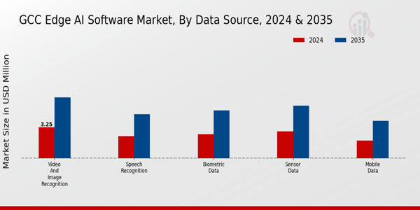 GCC Edge Ai Software Market Segment