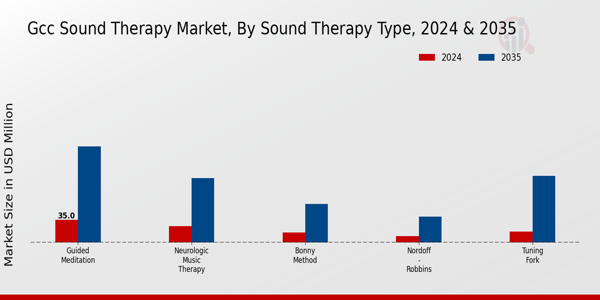 GCC Sound Therapy Market Segment