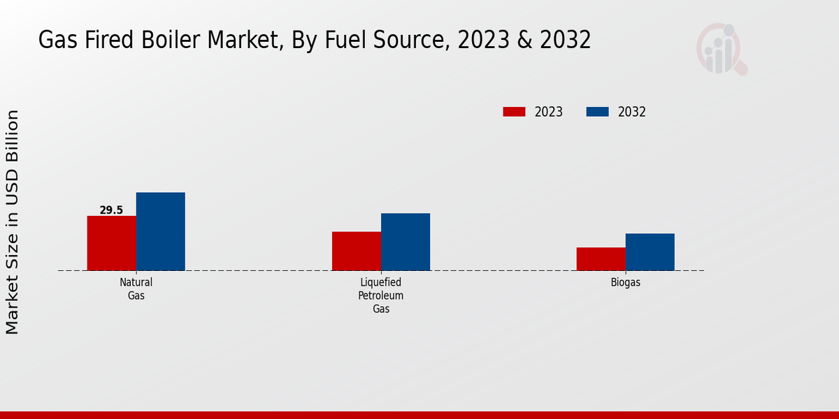 Gas-Fired Boiler Market Fuel Source