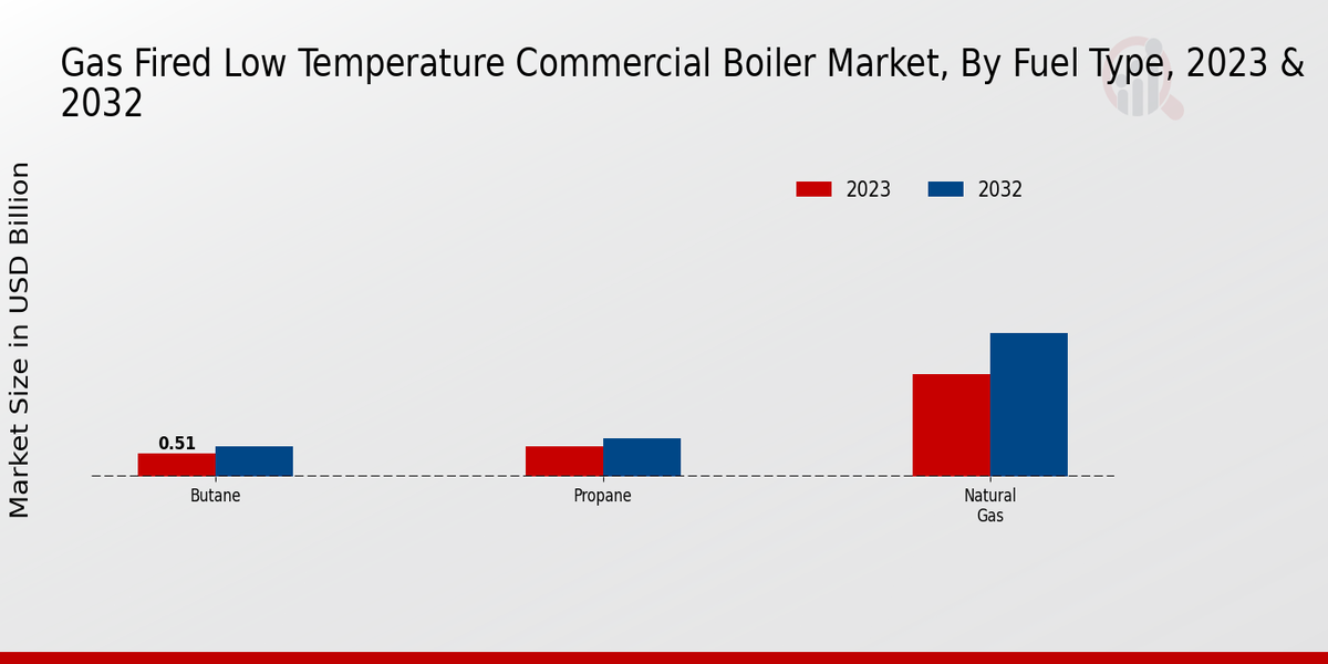 Gas-Fired Low-Temperature Commercial Boiler Market Fuel Type Insights