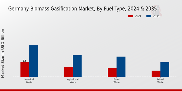 Germany Biomass Gasification Market Segment
