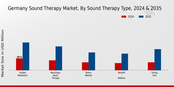 Germany Sound Therapy Market Segment