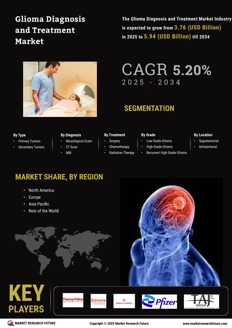 Glioma Diagnosis and Treatment Market Research Report – Forecast to 2034 Infographic
